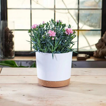 Grands pots légers pour plantes – Design moderne avec soucoupe et drainage, intérieur & extérieur